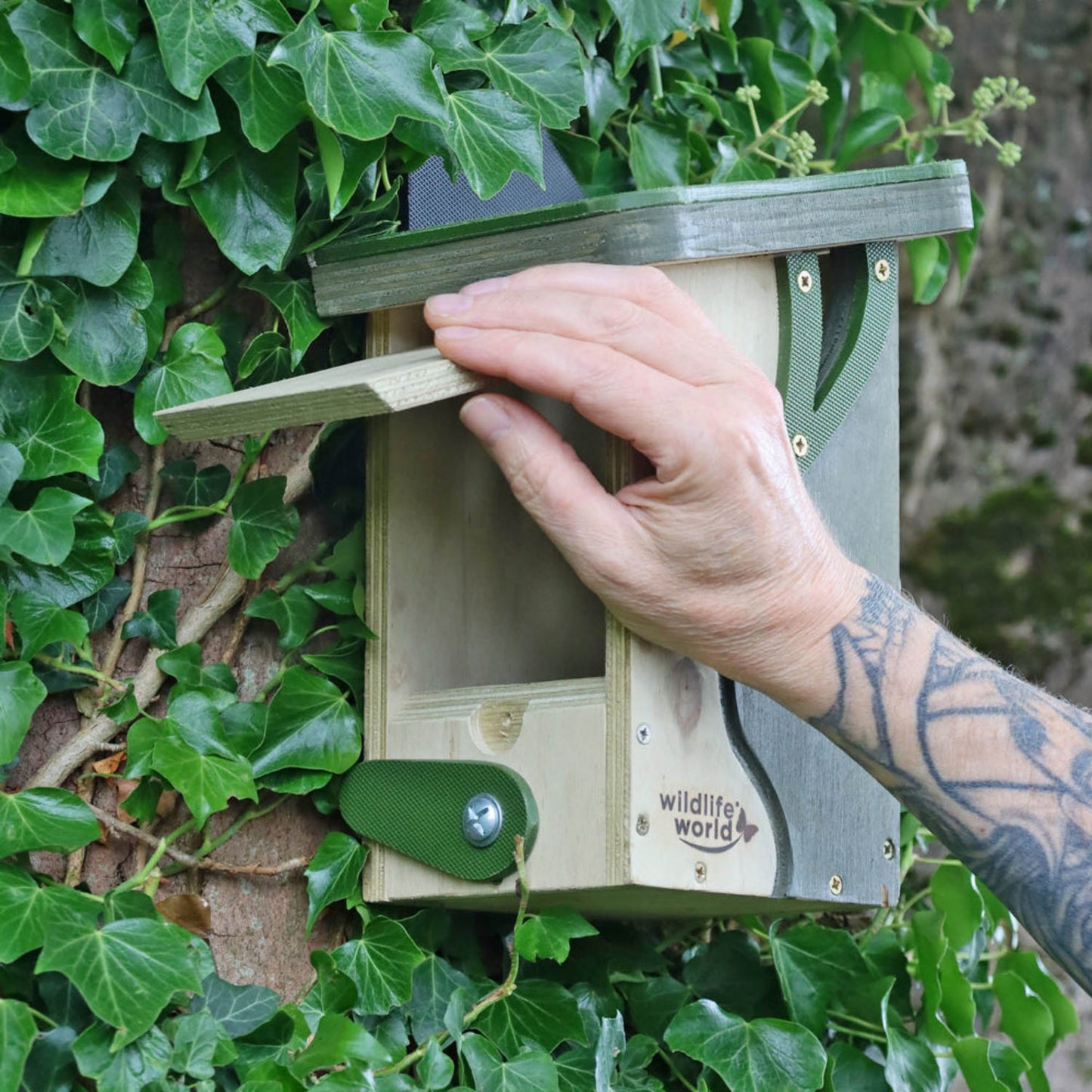 Hand opening a wooden bird box attached to a wall with greenery