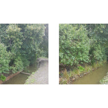 Load image into Gallery viewer, Preplanted coir rolls: before and after