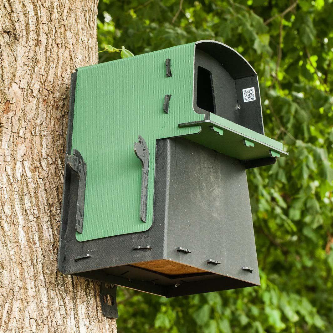Owl Box With Camera Wireless Solar Powered Smart Bird Box Camera