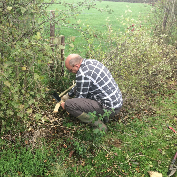 Hedge Laying and Culture Wars