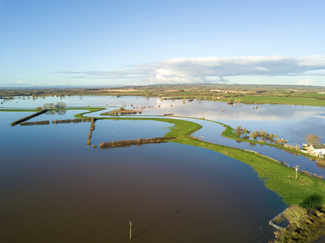 The Rain It Raineth Every Day