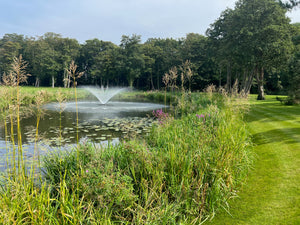 Pre-planted coir rolls for ponds