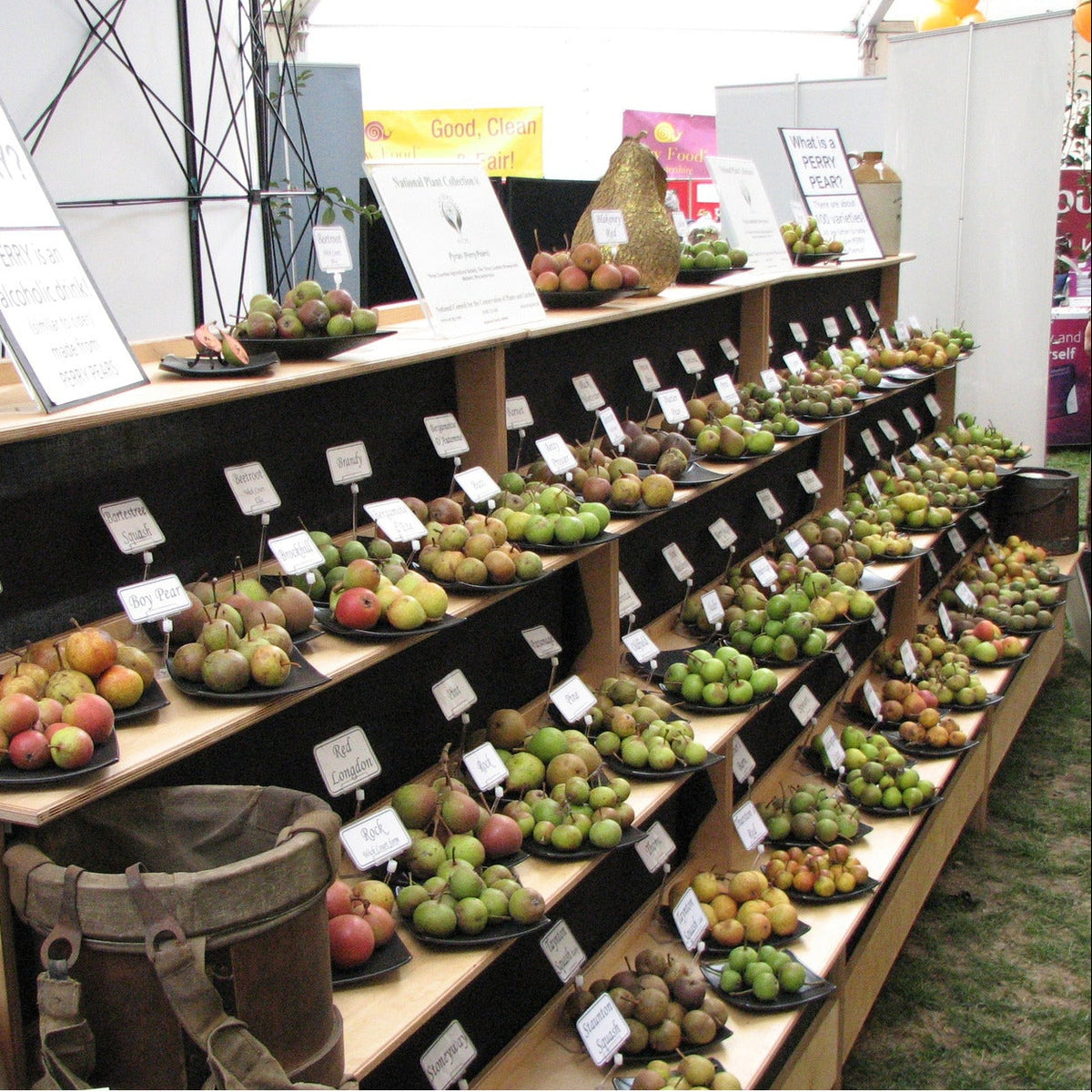 Perry pears at the Malvern Show