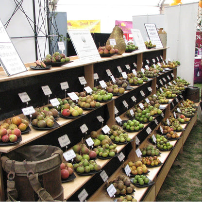 Perry pears at the Malvern Show