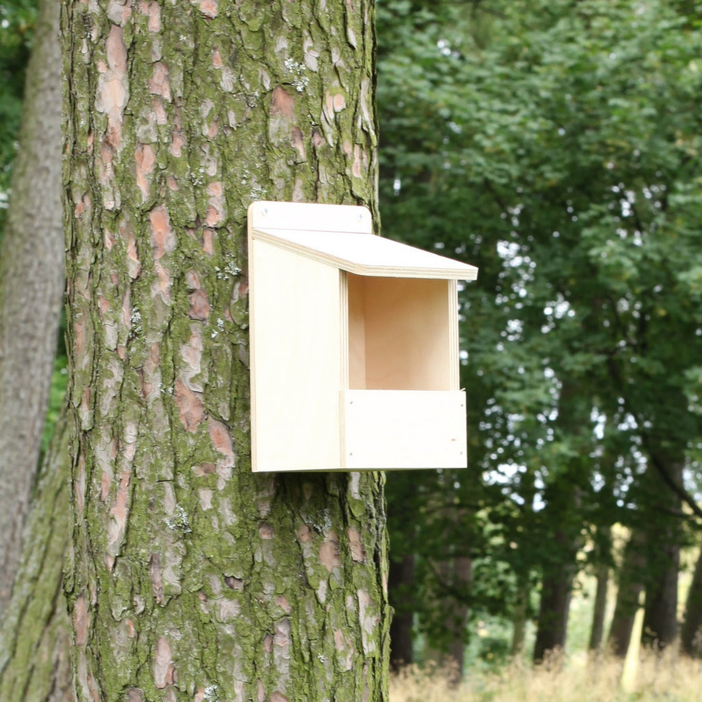 DIY nestbox for Robins, Pied Wagtail, Flycatcher