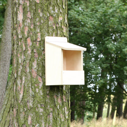 DIY nestbox for Robins, Pied Wagtail, Flycatcher