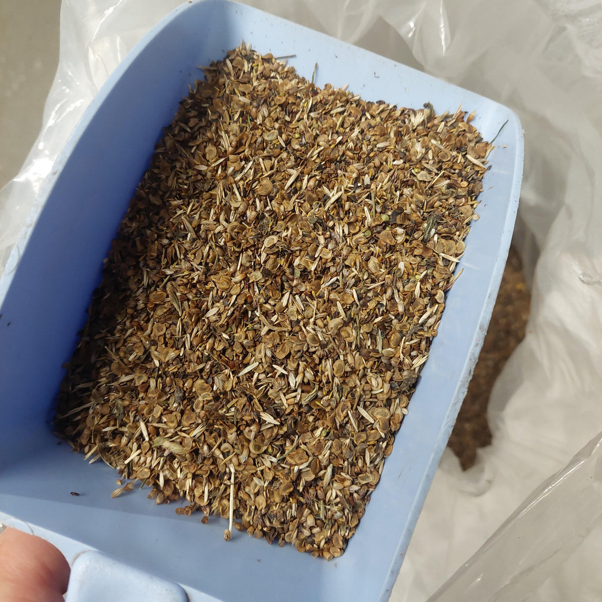 A close-up of a light blue scoop filled with dried brown and tan herbal or botanical material, held over a clear plastic bag.