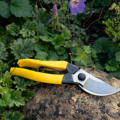 Everyday secateurs