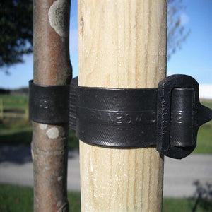 Metal Guards for Trees
