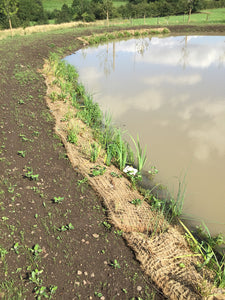 Preplanted coir mats on installation