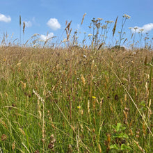 Load image into Gallery viewer, Herefordshire meadow mix