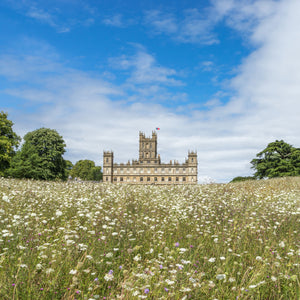 Highclere meadow