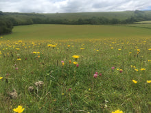 Load image into Gallery viewer, Organic Meadow Seed Mix - Neutral Soils