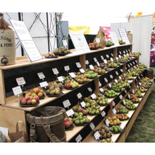 Load image into Gallery viewer, Perry pears at the Malvern Show