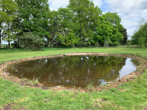 Preplanted coir mats