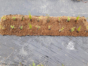 Unplanted coir mat