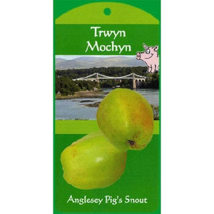 Apple Tree - Anglesey Pig's Snout