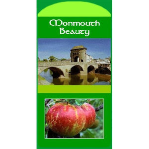 Welsh apple tree - Monmouth Beauty