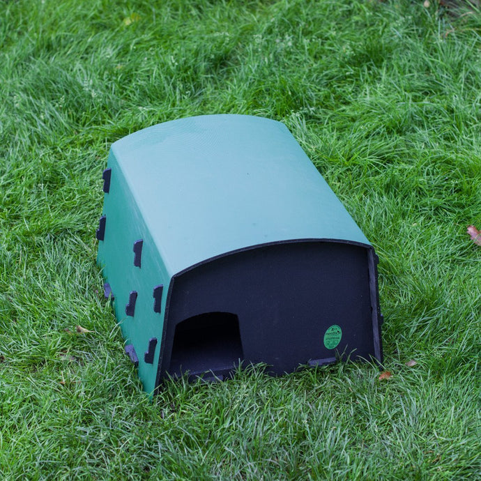 Hedgehog box