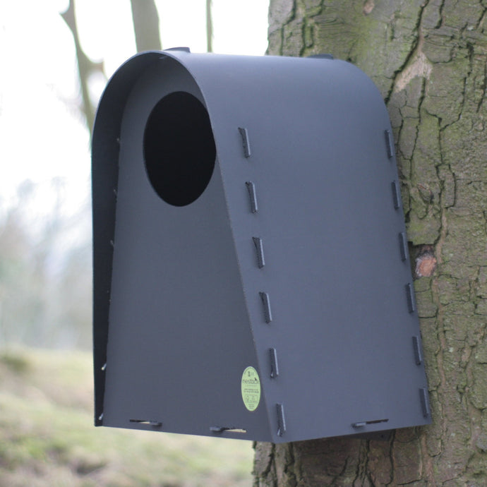 Tawny Owl Box