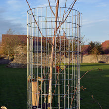 Load image into Gallery viewer, Metal mesh tree guard detail