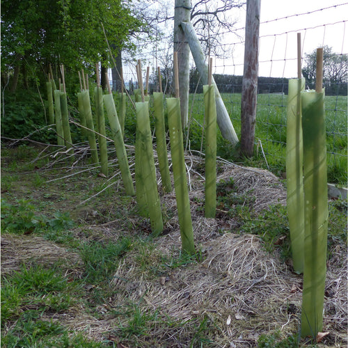 Bioguards for hedge plants